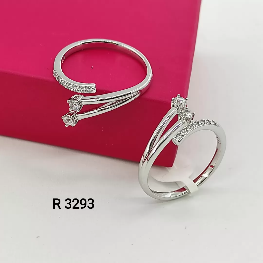 R 3293
